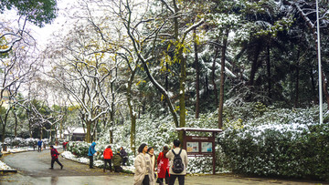 白雪皑皑