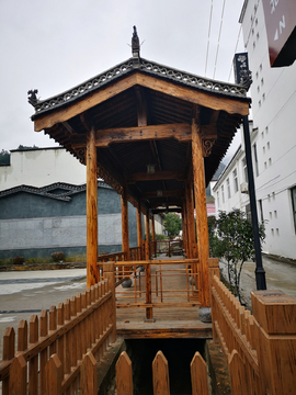 大演