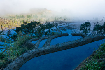 云上梯田