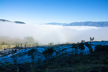 云海梯田