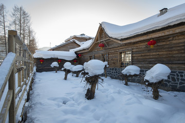 雪乡雪蘑菇