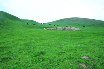 新疆草原牧场