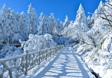 冰雪世界旅游栈道