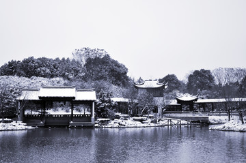 园林雪景