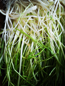 农家菜