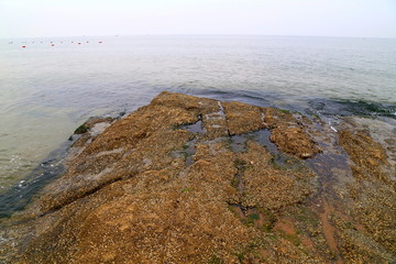 大海礁石