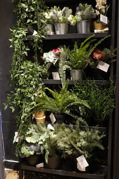 宜家绿植装饰架