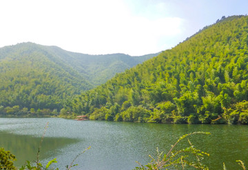 竹林湖水