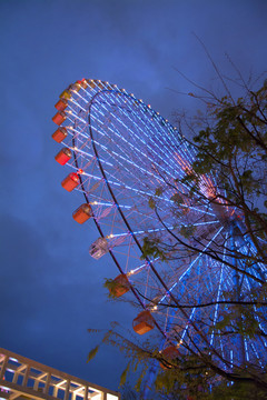 摩天轮夜景