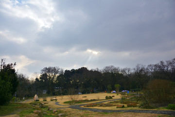 田园风光