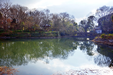 湖畔美景