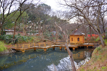 水上木栈道