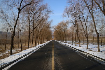 冬季的道路