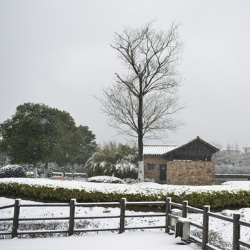 雪景