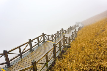 武功山风光