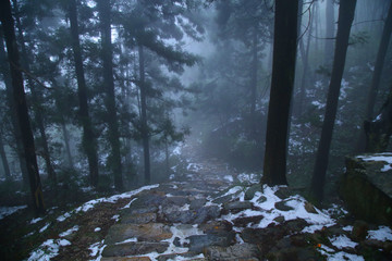 云雾庐山