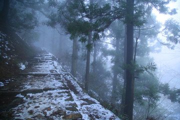 云雾庐山