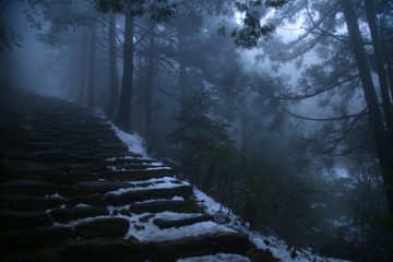 云雾庐山