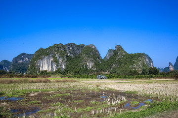 阳朔田野风光