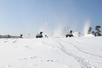 公园飞雪