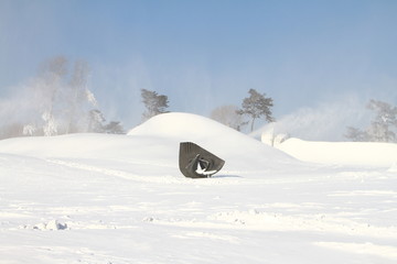 公园飞雪雕塑