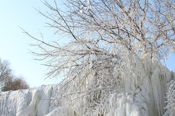 冰柱树挂