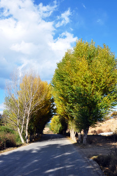 秋叶公路