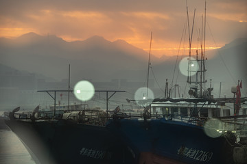 渔港晨景