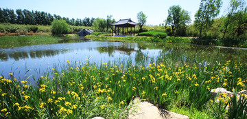 小湖公园花卉蓝天