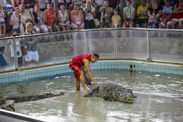 泰国芭提雅鳄鱼惊险表演