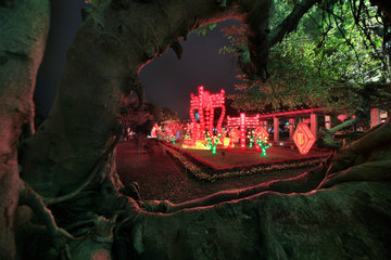 中山市人工湖夜景