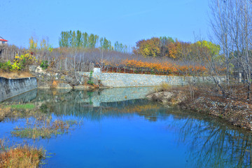 湖边秋景