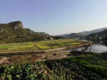 贵州农村水稻田菜地