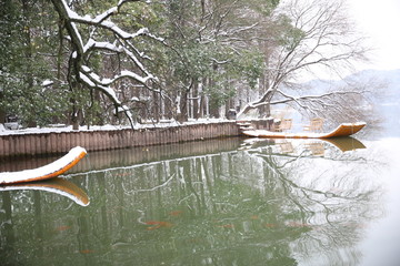 雪景