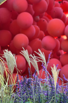 红色气球和芦苇