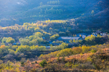 山村