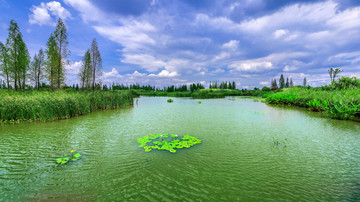 海东湿地