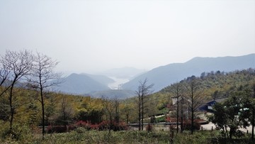 山村