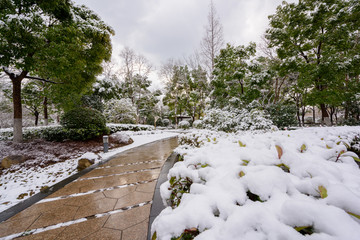 公园雪景