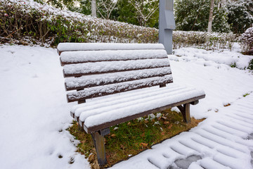 公园雪景