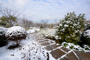 公园雪景