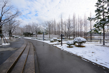 公园雪景