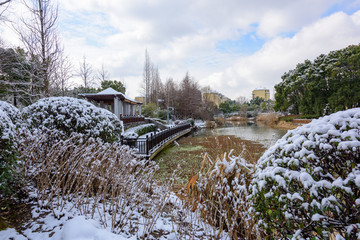 公园雪景