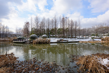 湿地雪景