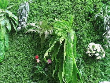 植物装饰墙