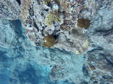 海礁石