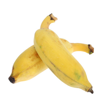 米蕉香蕉粉蕉