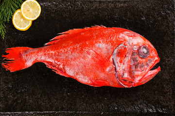 新西兰橙鲷鱼长寿鱼胸棘鲷