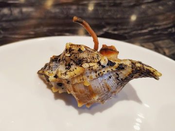 海螺凉菜