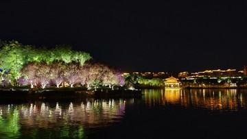 曲江南湖夜景